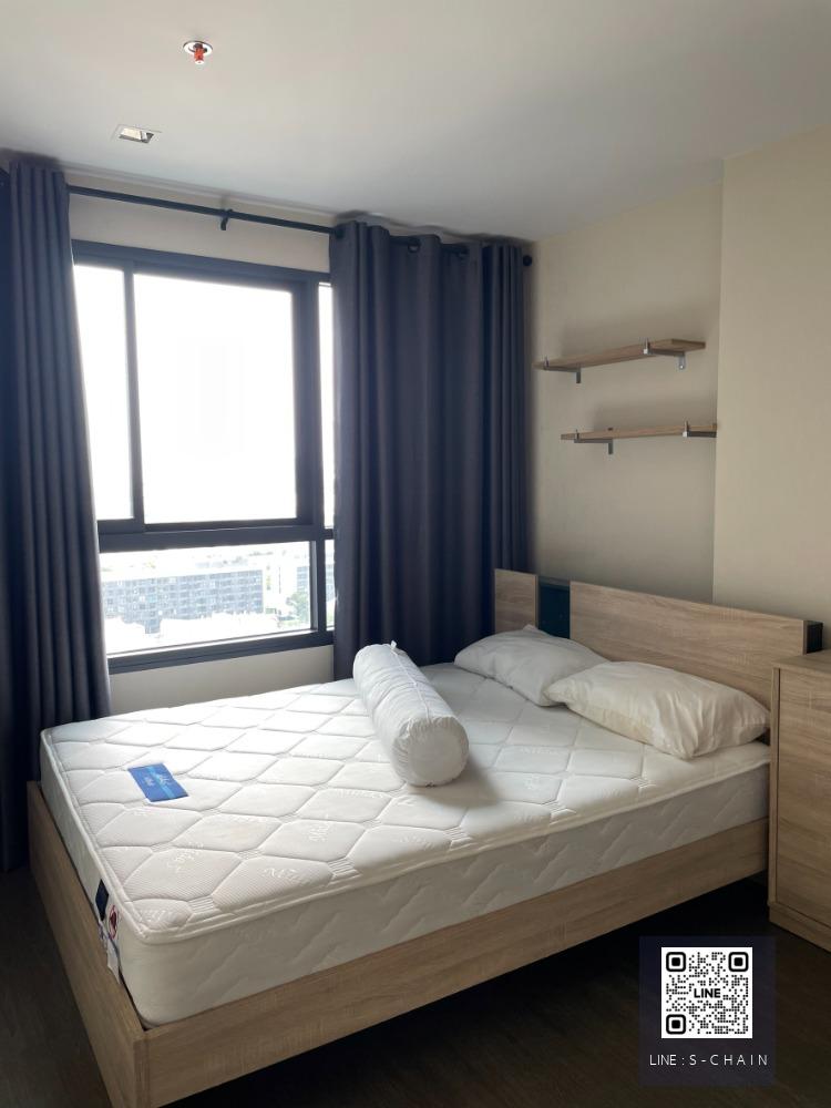 FOR RENT  I Deo Sukhumvit 93  ใกล้ BTS บางจาก ห้องสวย แต่งครบ พร้อมอยู่ #LV-MO1435